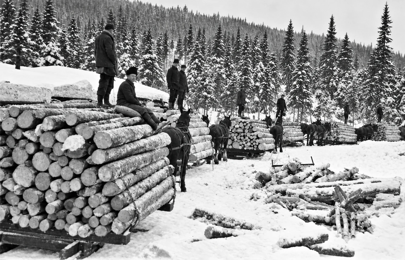 Archival photograph of the North Shore logging camps, image 11